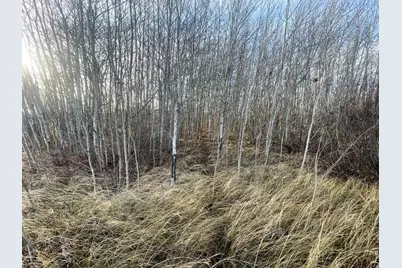 Tbd 150th Street NW, Thief River Falls, MN 56701 - Photo 34