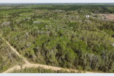 Tbd 8 Bog Lake Trail, Osage Township, MN 56570 - Photo 4