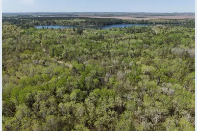 Tbd 8 Bog Lake Trail, Osage Township, MN 56570 - Photo 6