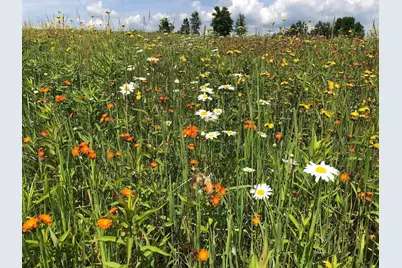 Tbd Dixon Line Rd, Finlayson, MN 55735 - Photo 2