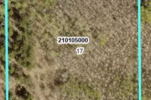 Tbd 10 Bog Lake Trail, Osage Township, MN 56570 - Photo 1