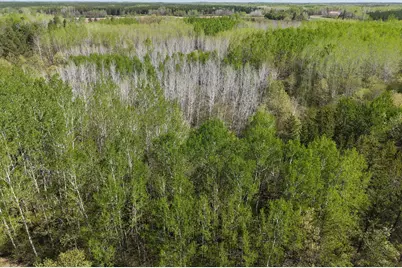 Tbd 10 Bog Lake Trail, Osage Township, MN 56570 - Photo 2