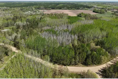 Tbd 10 Bog Lake Trail, Osage Township, MN 56570 - Photo 6