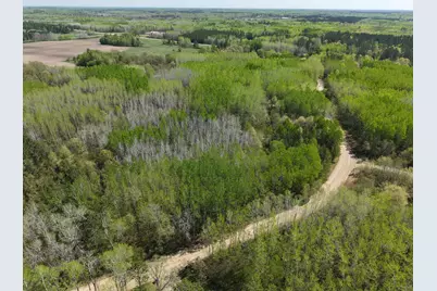 Tbd 10 Bog Lake Trail, Osage Township, MN 56570 - Photo 8