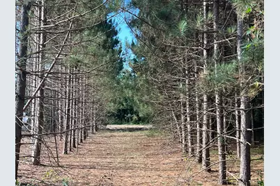 Lot 6 See Gull Cove, Brainerd, MN 56401 - Photo 2