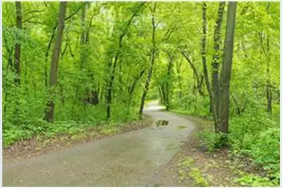 313 Maple Island Road, Burnsville, MN 55306 - Photo 54