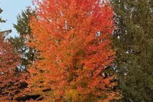 450 Willow Dr S, Orono, MN 55356 - Photo 70