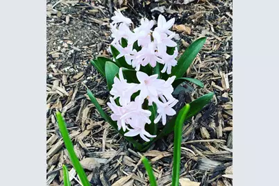 609 N 4th Street, New Richmond, WI 54017 - Photo 38