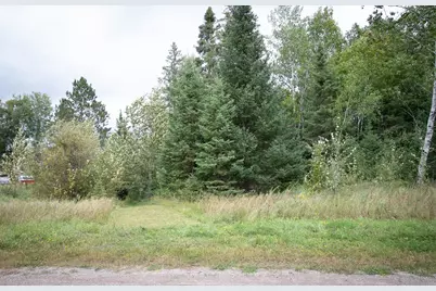 Tbd Libby Lake Road, Nashwauk, MN 55769 - Photo 8
