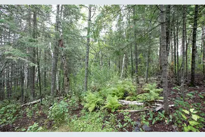 Tbd Libby Lake Road, Nashwauk, MN 55769 - Photo 16