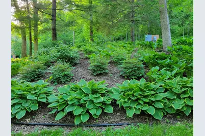 8706 State 44, Caledonia, MN 55921 - Photo 38