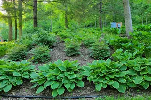 8706 State 44, Caledonia, MN 55921 - Photo 38