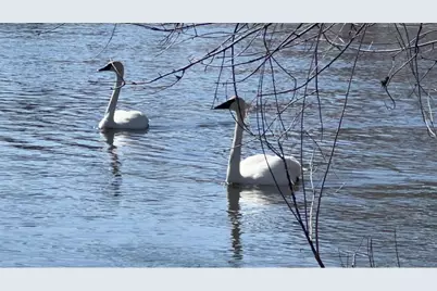 48225 Great River Road, Palisade, MN 56469 - Photo 22