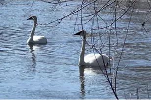 48225 Great River Rd, Palisade, MN 56469 - Photo 22