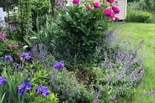 18850 Koetter Lake Rd, Richmond, MN 56368 - Photo 56