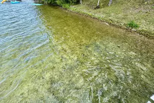 14196 E Fox Lake Rd, Detroit Lakes, MN 56501 - Photo 8