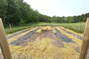 38213 State Hwy 87, Frazee, MN 56544 - Photo 10