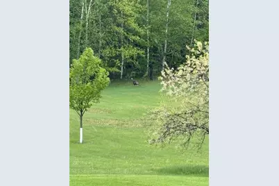 38213 State Highway 87, Frazee, MN 56544 - Photo 6