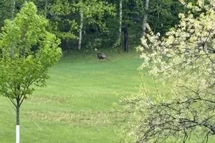 38213 State Hwy 87, Frazee, MN 56544 - Photo 6