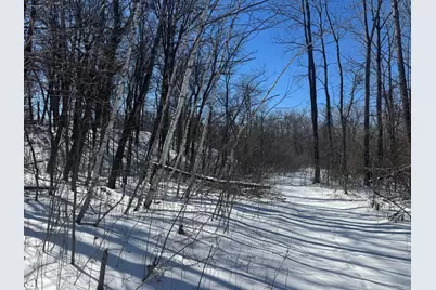 Tbd-15.8Ac 313th Avenue NW, Cambridge, MN 55008 - Photo 10