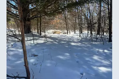 Tbd-15.8Ac 313th Avenue NW, Cambridge, MN 55008 - Photo 34