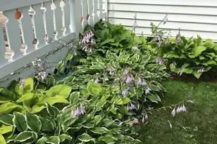 107 E 5th St, Morris, MN 56267 - Photo 68