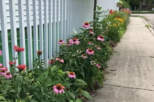 107 E 5th St, Morris, MN 56267 - Photo 8