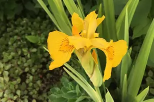 107 E 5th St, Morris, MN 56267 - Photo 72