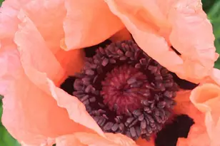 107 E 5th St, Morris, MN 56267 - Photo 74