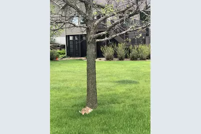 7005 Halifax Lane NW, Rochester, MN 55901 - Photo 62