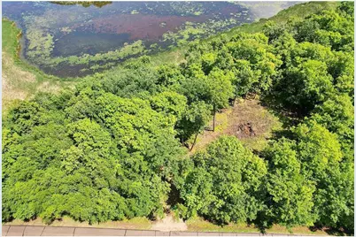 49330 Fish Lake Road, Pelican Rapids, MN 56572 - Photo 4