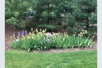 8323 W Franklin Avenue, Saint Louis Park, MN 55426 - Photo 54