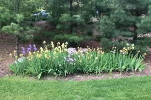 8323 W Franklin Ave, Saint Louis Park, MN 55426 - Photo 54