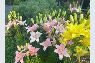 8323 W Franklin Avenue, Saint Louis Park, MN 55426 - Photo 60