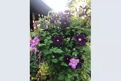 8323 W Franklin Avenue, Saint Louis Park, MN 55426 - Photo 56