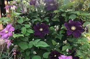 8323 W Franklin Ave, Saint Louis Park, MN 55426 - Photo 56