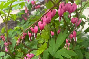 8323 W Franklin Ave, Saint Louis Park, MN 55426 - Photo 62