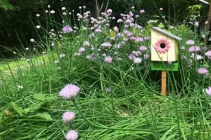 8323 W Franklin Ave, Saint Louis Park, MN 55426 - Photo 64