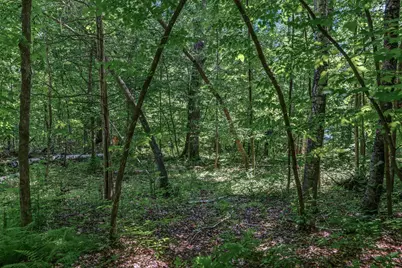 25Xxx Itasca Avenue, Forest Lake, MN 55025 - Photo 2