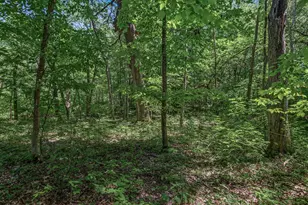 25Xxx Itasca Ave, Forest Lake, MN 55025 - Photo 1