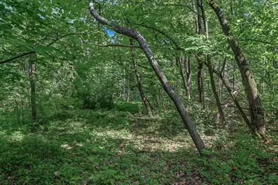 25179 Itasca Avenue, Forest Lake, MN 55025 - Photo 4
