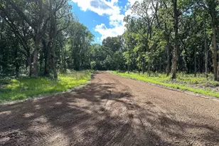 Lot M Norwood Ln, Battle Lake, MN 56515 - Photo 30