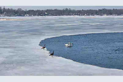 1290 Malone Park Road, Isle, MN 56342 - Photo 4