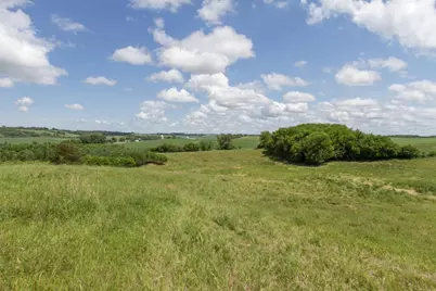 62997 430th Avenue, Mazeppa, MN 55956 - Photo 56