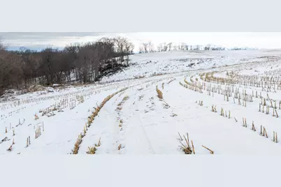 0 Maplewood Lane, Alma, WI 54610 - Photo 18