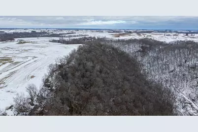 0 Maplewood Lane, Alma, WI 54610 - Photo 8