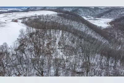 Tbd Maplewood Lane, Alma, WI 54610 - Photo 14