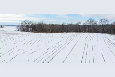 Tbd Maplewood Lane, Alma, WI 54610 - Photo 8