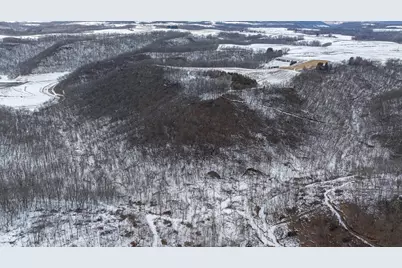 Tbd Maplewood Lane, Alma, WI 54610 - Photo 12