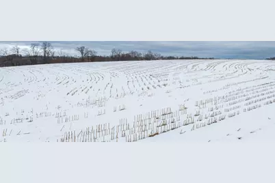 Tbd Maplewood Lane, Alma, WI 54610 - Photo 4